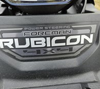 2022 Honda Foreman Rubicon Thumbnail 14