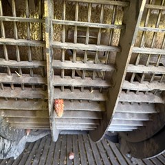 Photo 29