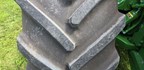 image 27