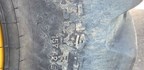 image 24