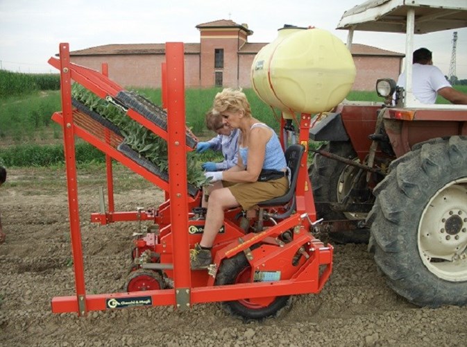 2022 Checchi & Magli WOLF 1 ROW TRANSPLANTER Transplanter For Sale 2022 Checchi & Magli WOLF 1 ROW TRANSPLANTER Transplanter For Sale